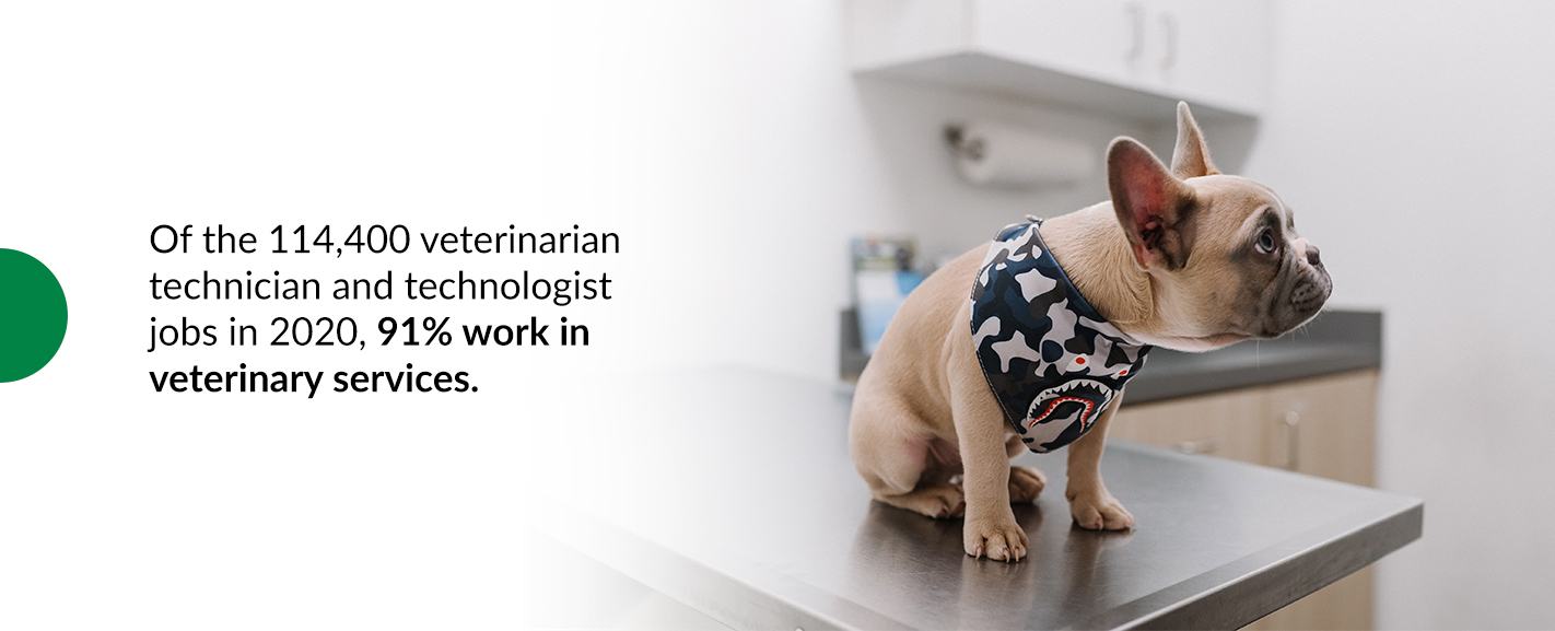 how long does it take to be a veterinary technician