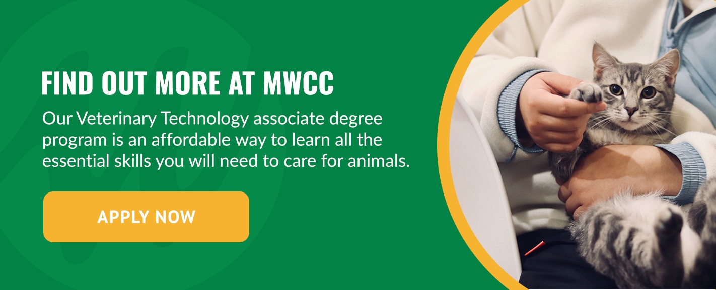 Find Out More at MWCC