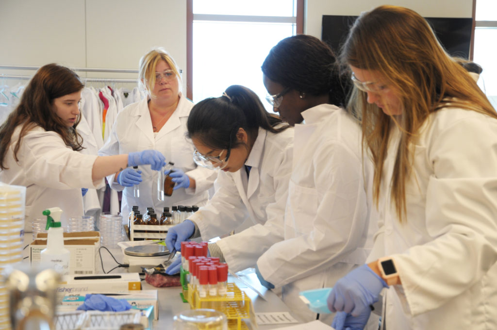 Five people work in a lab-like classroom doing experiments.