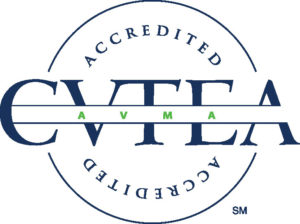 CVTEA Accreditation Logo