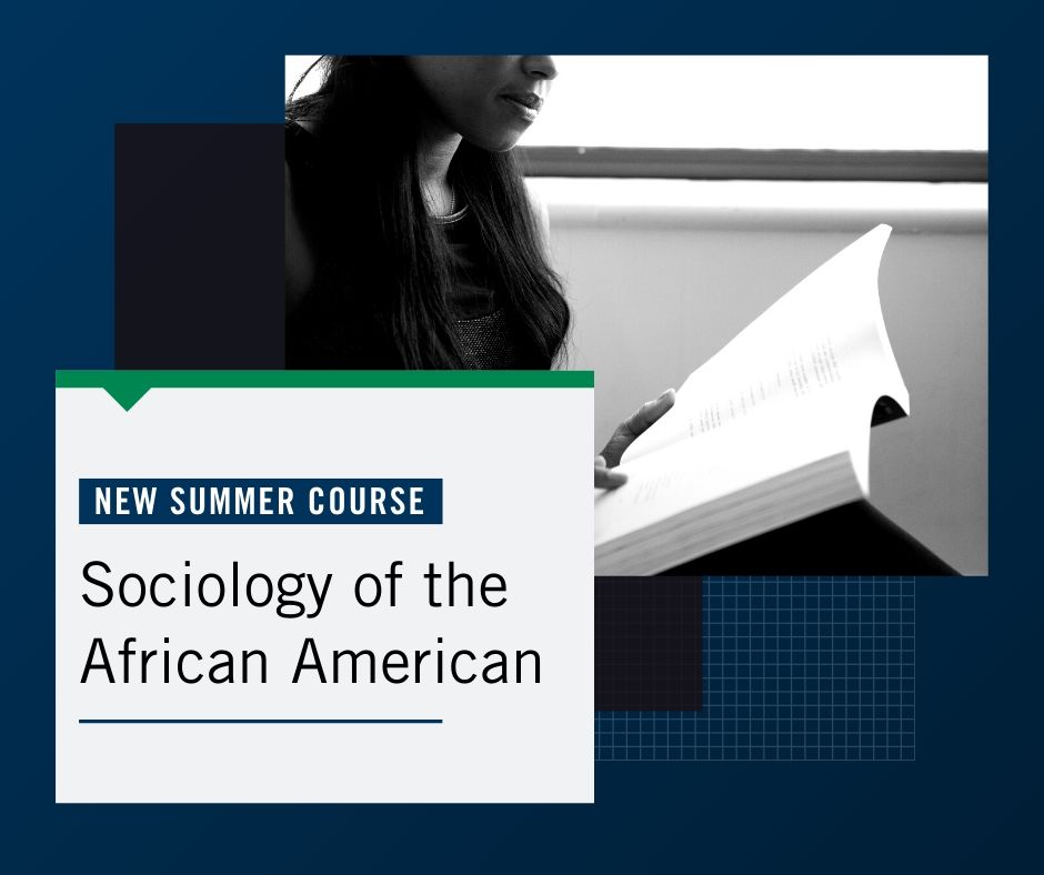 New Course Sociology of the African American