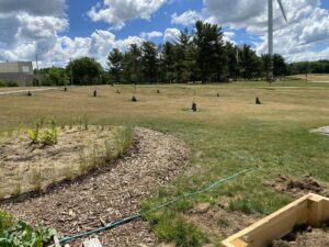 New orchard beside the greenhouse