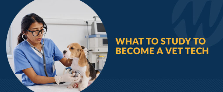 How to Become a Vet Tech | Mount Wachusett Community College