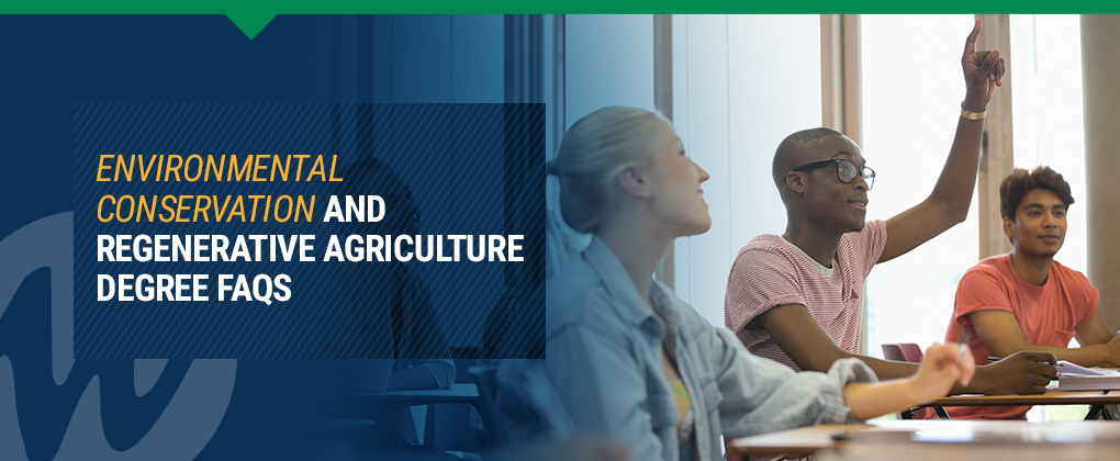 What Can You Do With An Environmental Conservation Degree?