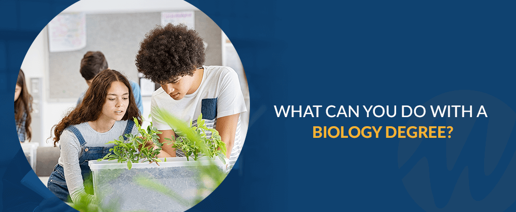 What can you do with a biology degree?