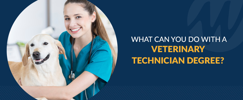 What Can You Do With a Veterinary Technician Degree?