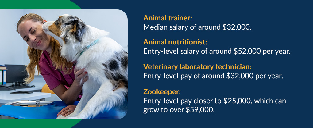 Average Salary for Veterinary Technician Jobs
