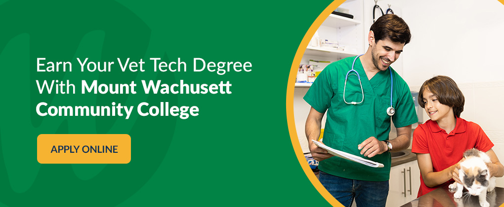 Earn Your Vet Tech Degree With Mount Wachusett Community College