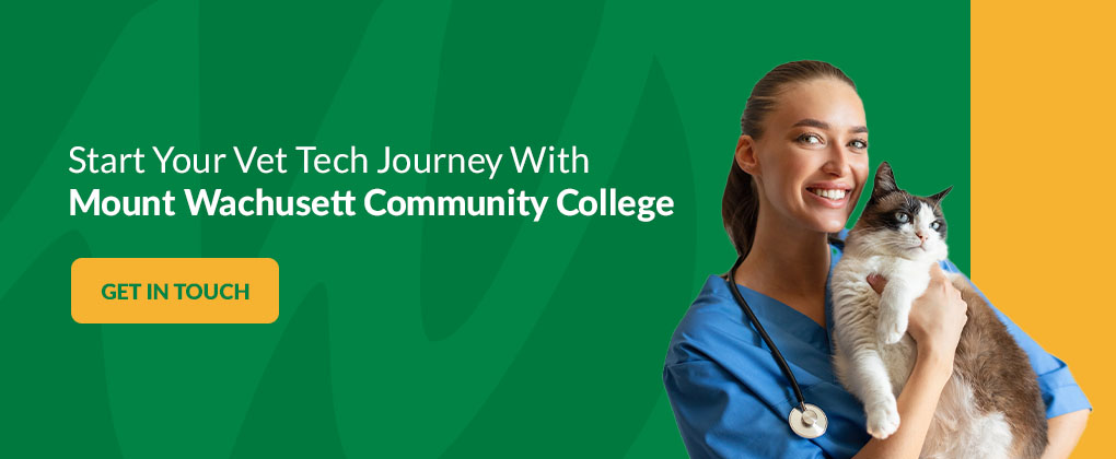 Start your vet tech journey with MWCC