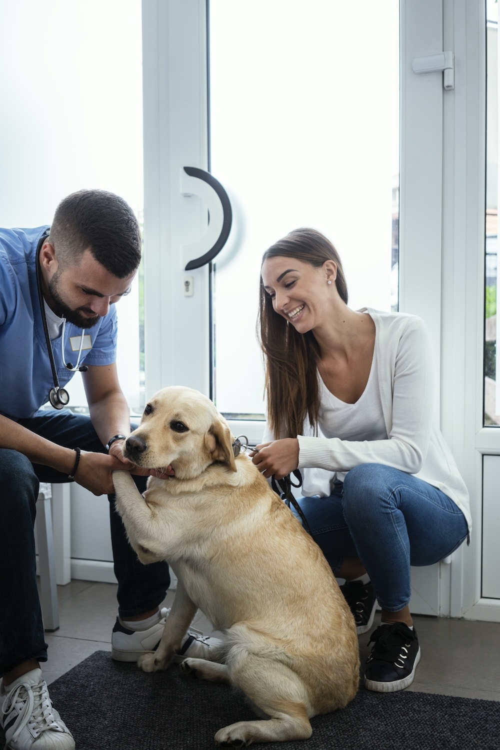 Veterinarian life