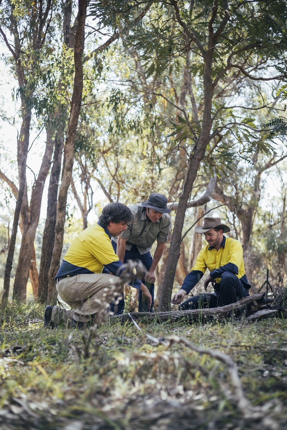 Environmental & Conservation Team in the Bush