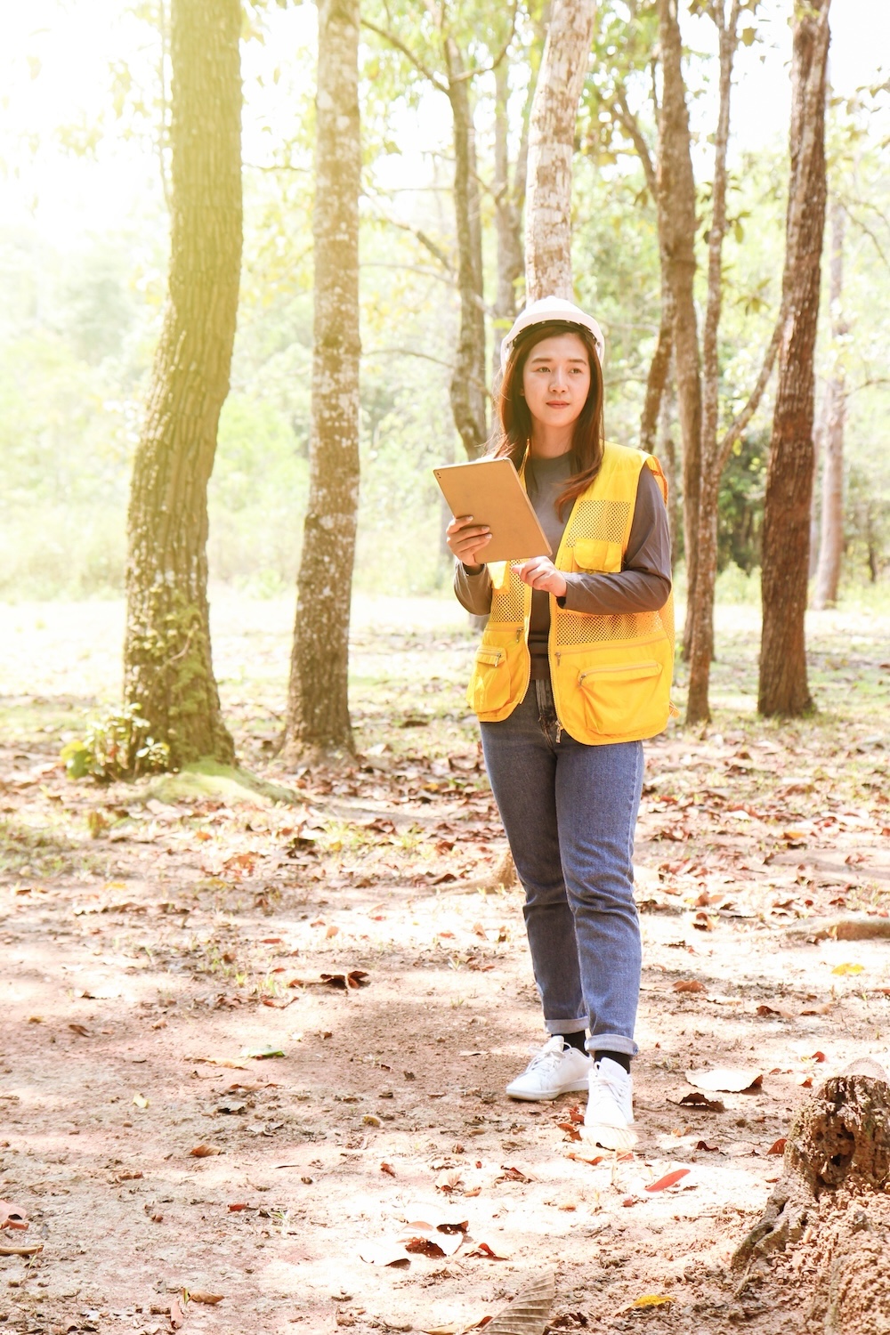 Female forester working in forest. Forestry technician using digital tablet computer in forest. Power of women, gender equality. working woman concepts. Pride in Work