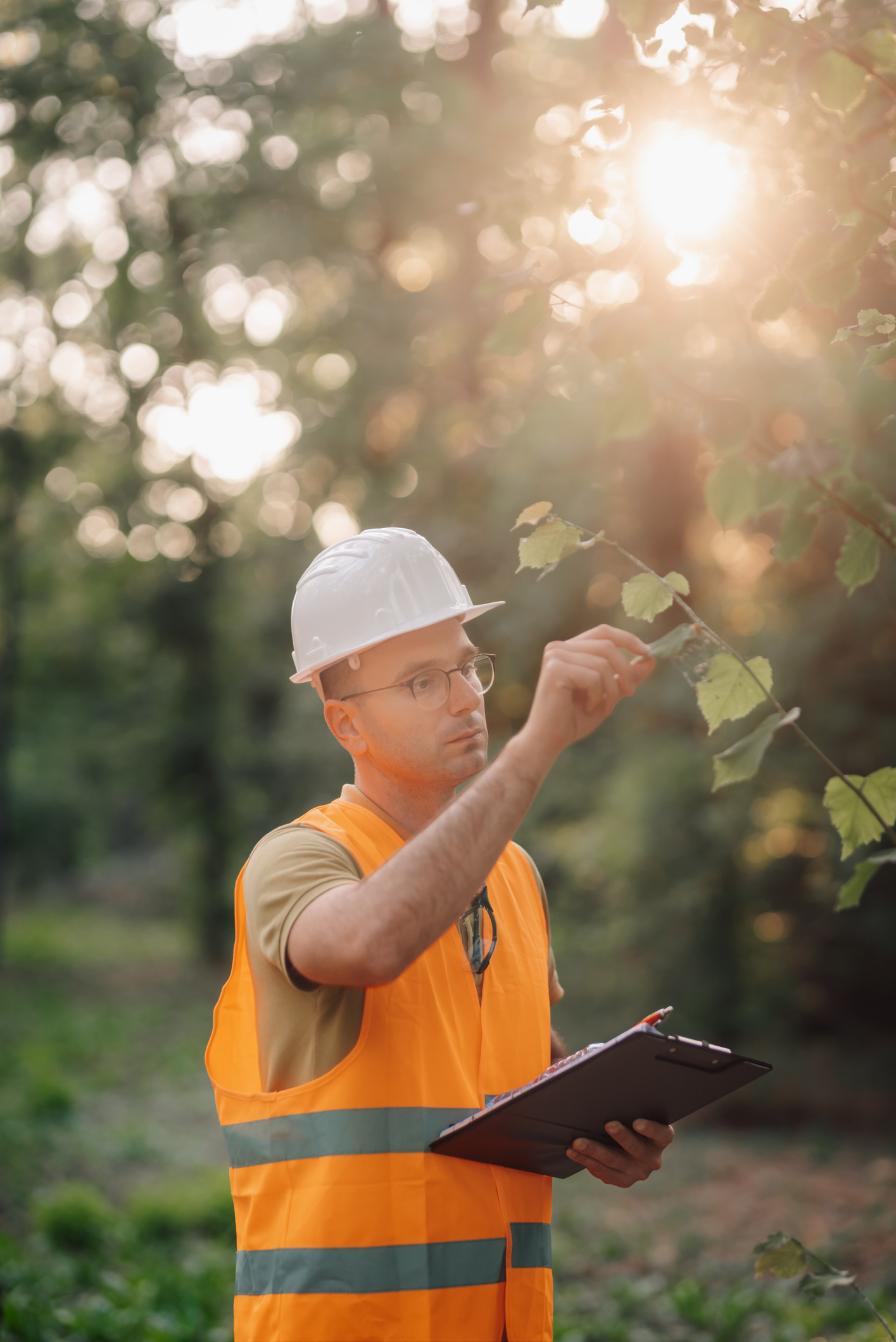 Forestry engineer inspecting trees and taking notes in the forest