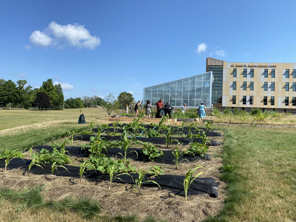Students and staff during a pick-your-own day at the MWCC greenhouse and gardens in August.