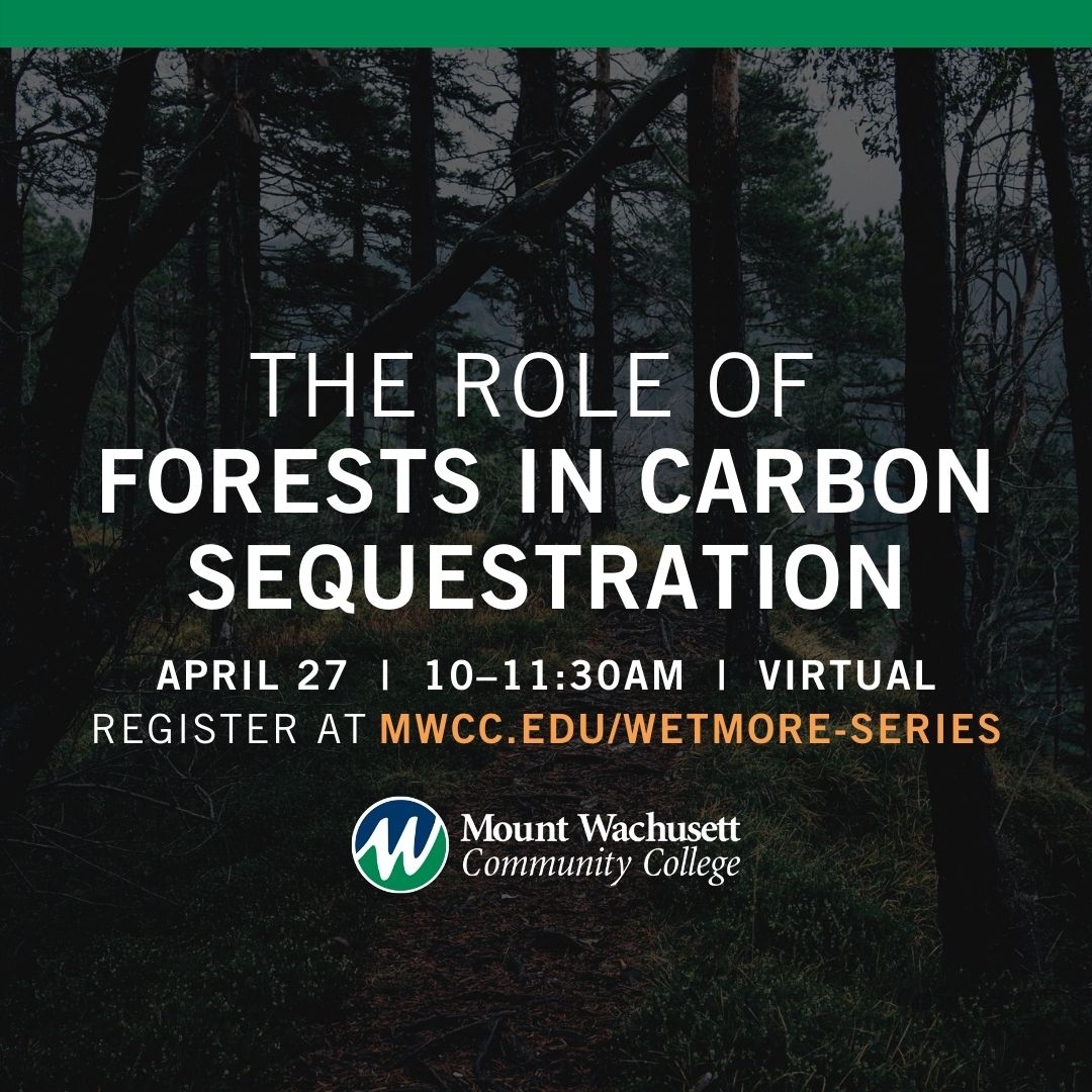 MWCC to host Earth Day Webinar Honoring Senator Robert D. Wetmore: The Role of Forests in Carbon Sequestration – first in a series