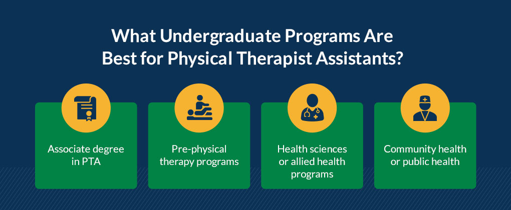 What Undergraduate Programs Are Best for Physical Therapist Assistants? 