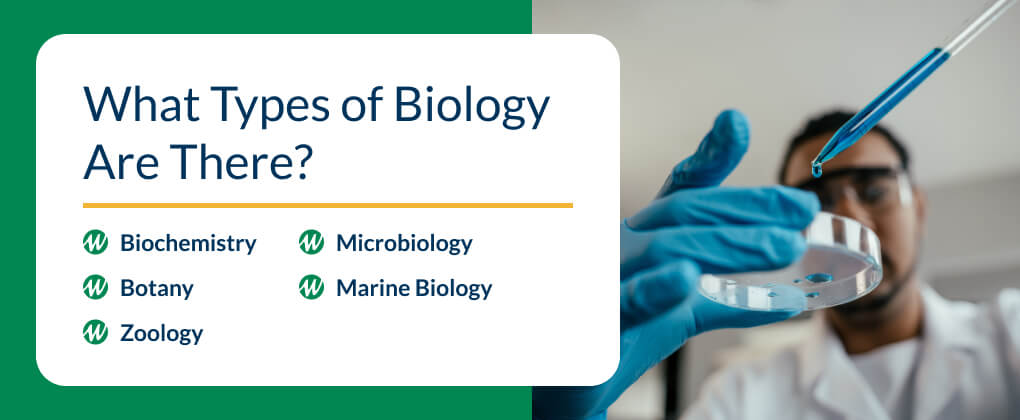 What Types of Biology Are There?
