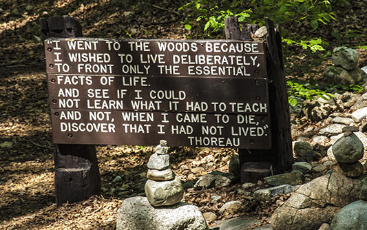 Sign on the trail in the woods that says "I went to the woods because I wished to live deliberately, to front only the essential facts of life. And see if I could not learn what it had to teach and no, when I came to die, discover that I had not lived." - Thoreau