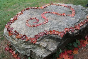 Large rock with red leaves making an artistic pattern on top