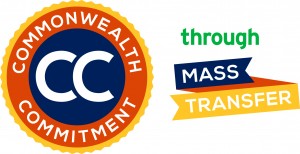 ComCom + MassTransfer Logo - Horizontal - RGB